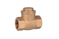 شیر یکطرفه دریچه ای سایر 2 1/2” PN16