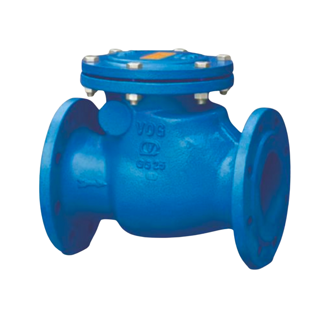 شیر یکطرفه لولایی سایز6” (150mm) PN 16